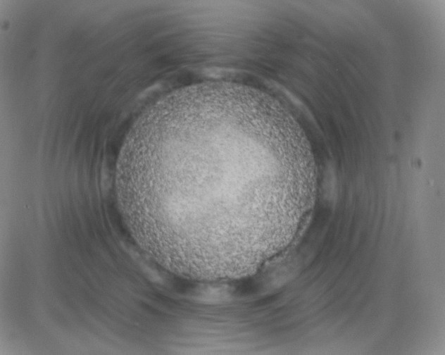 X0000083070569200702232050