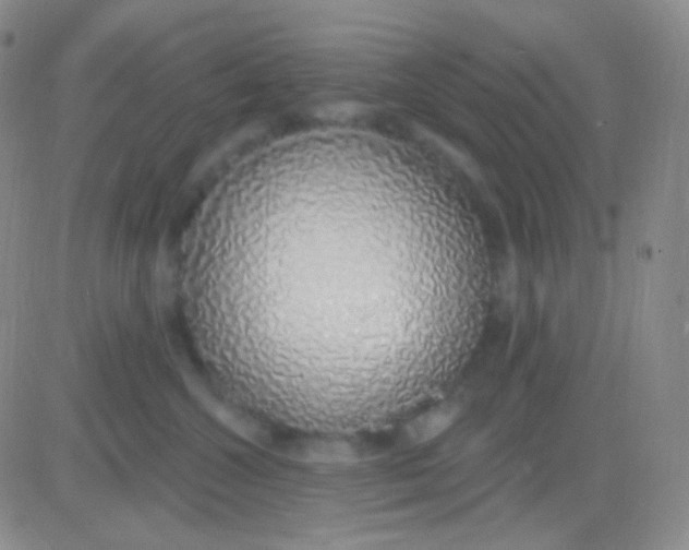X0000083070572200702232050