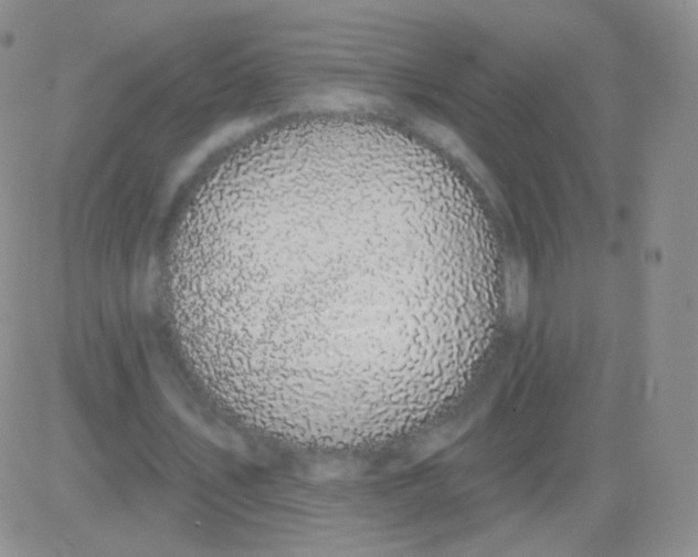 X0000083070579200702232049