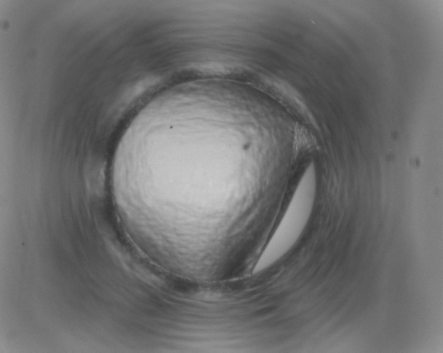 X0000083070596200702232049