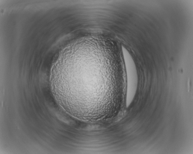 X0000083070609200702232048