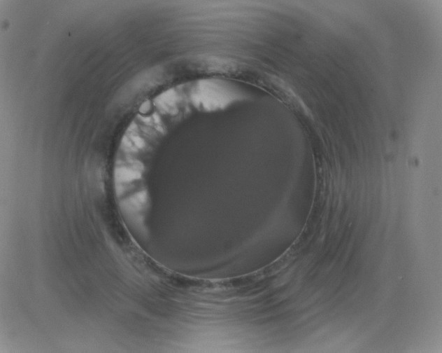X0000083070643200702232048