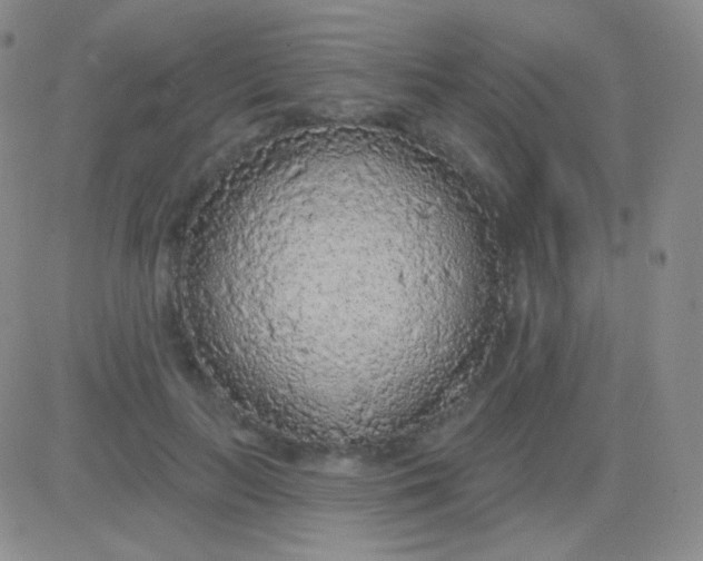 X0000083070647200702232048