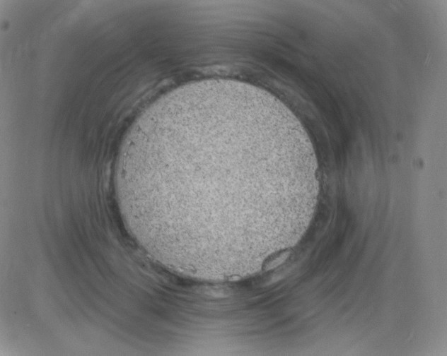 X0000083070652200702232048