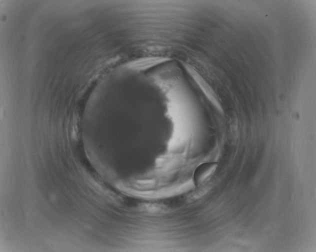 X0000083070654200702232048