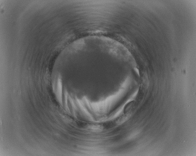 X0000083070659200702232048