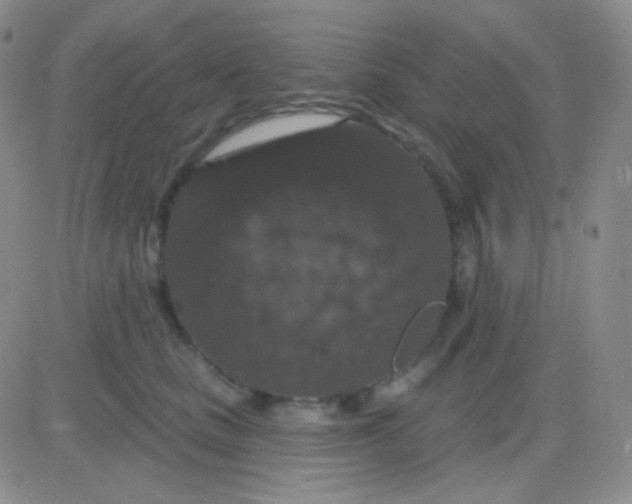 X0000083070661200702232048