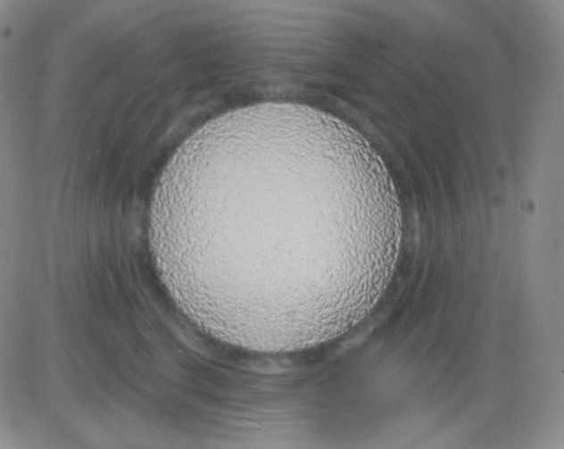 X0000083070664200702232048