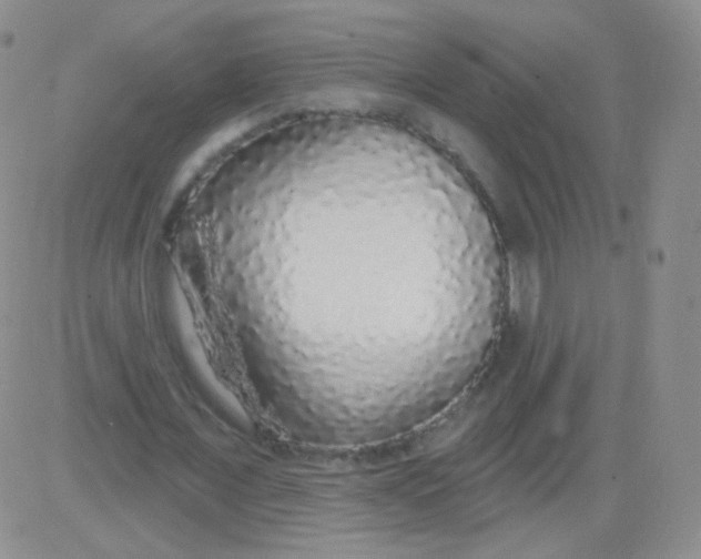 X0000083070675200702232047