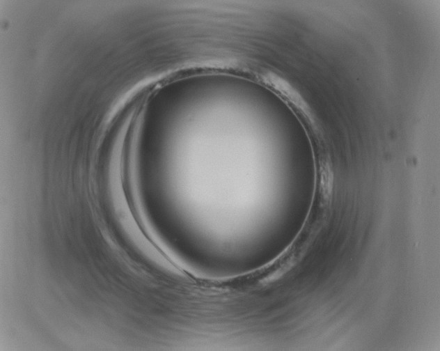 X0000083070676200702232047
