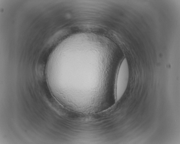 X0000083070695200702232047