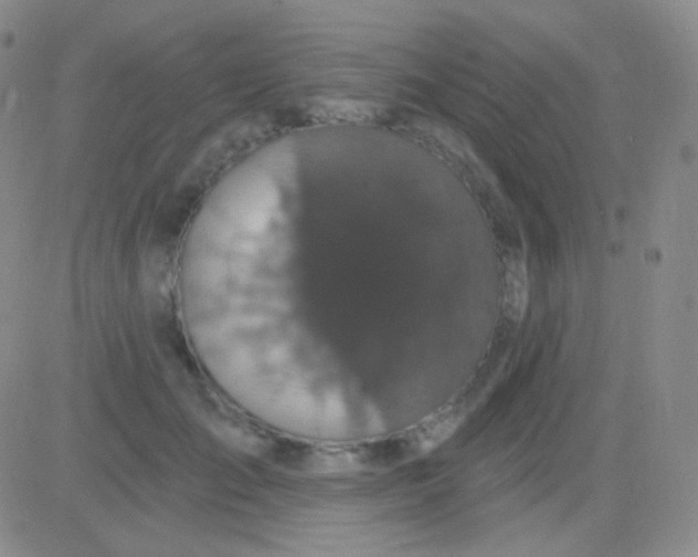 X0000083070701200702232047