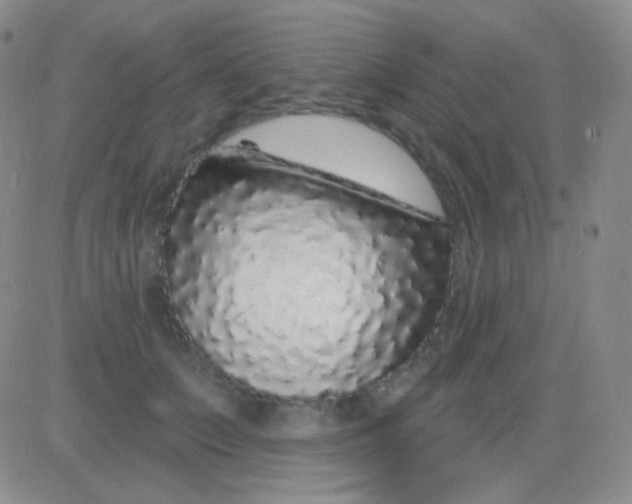 X0000083070703200702232047