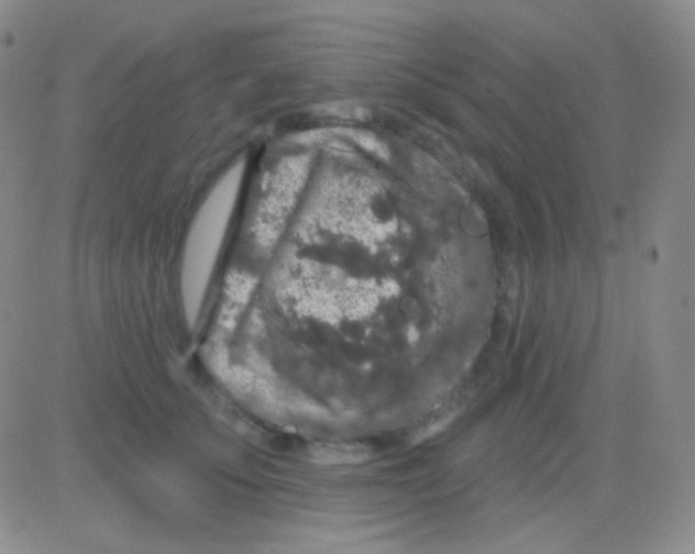 X0000083070707200702232047