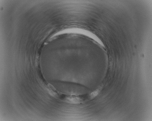 X0000083070712200702232047