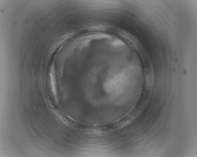 X0000083070729200702232046