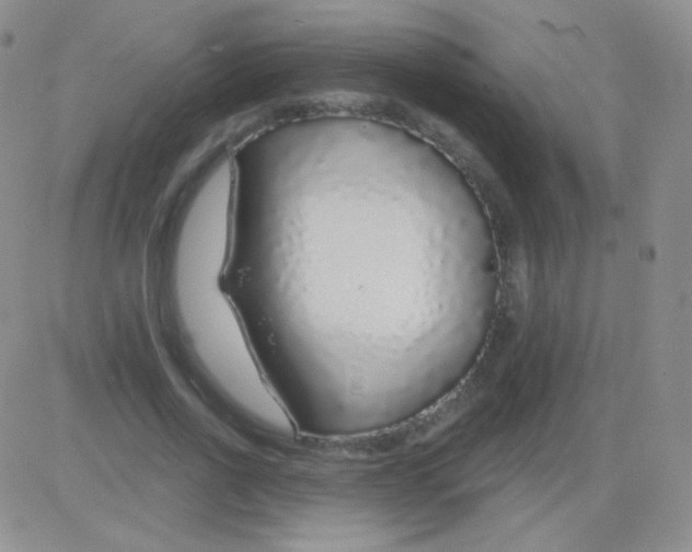 X0000083070734200702232046