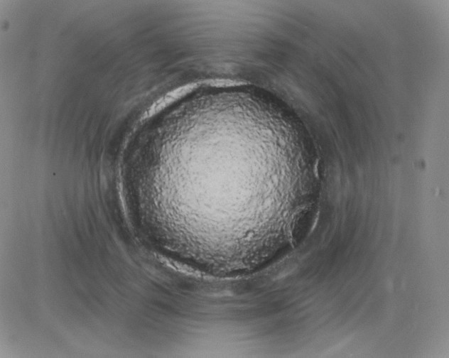 X0000083070747200702232046