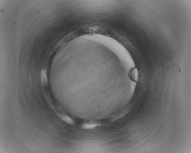 X0000083070754200702232046