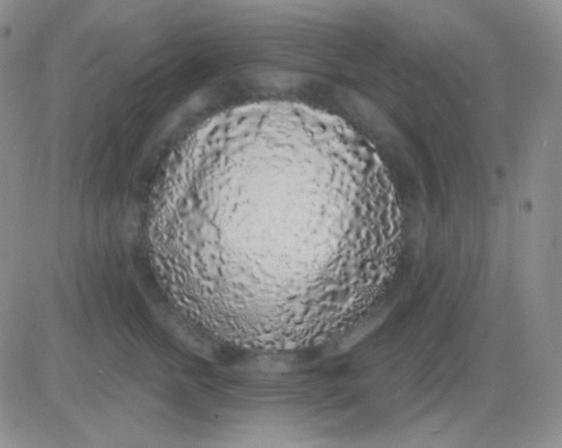 X0000083070758200702232046