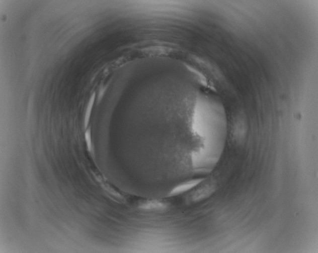 X0000083070759200702232046