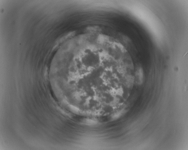 X0000083070765200702232047