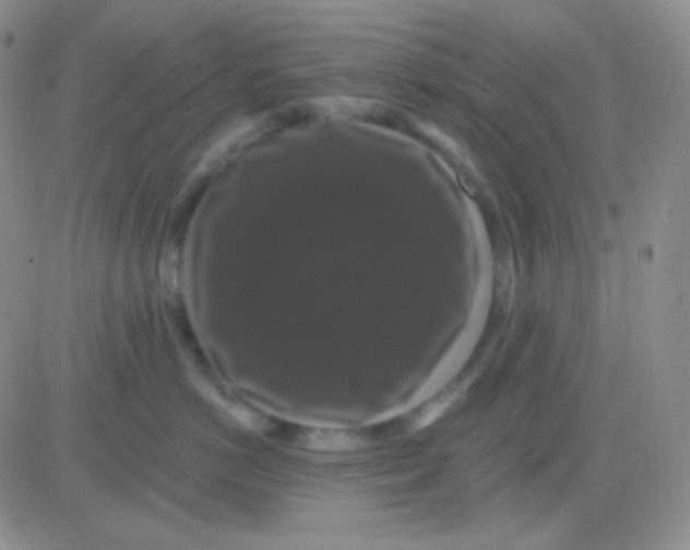 X0000083070766200702232047