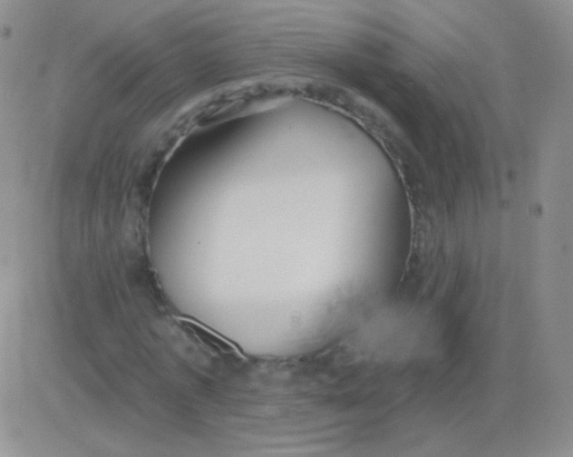X0000083070773200702232046