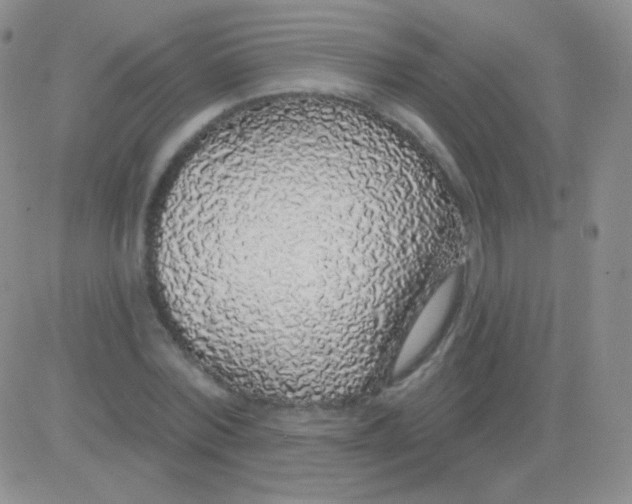 X0000083070780200702232046