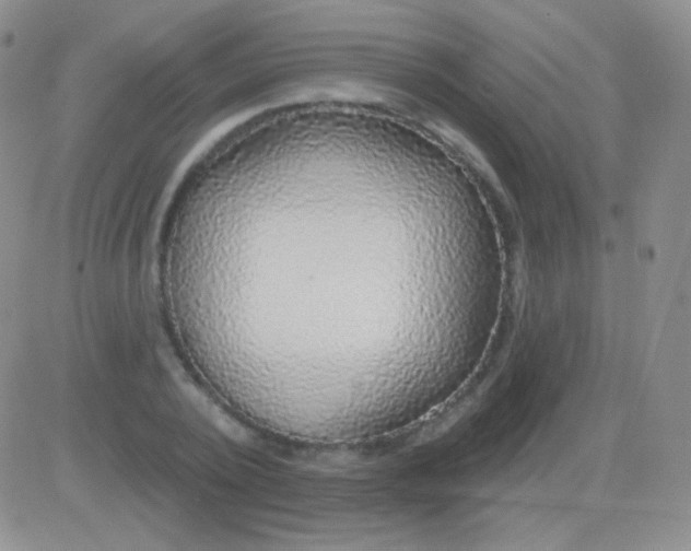 X0000083070784200702232046