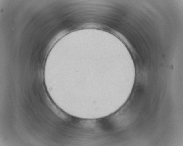 X0000083070810200702232045