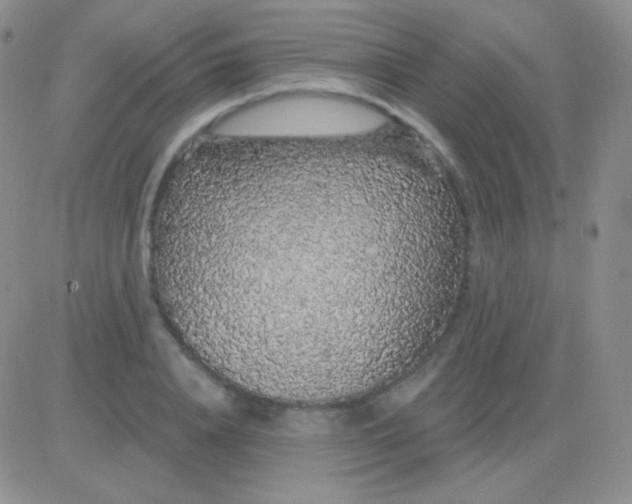 X0000083070840200702232045