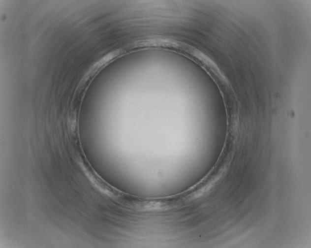 X0000083070841200702232045