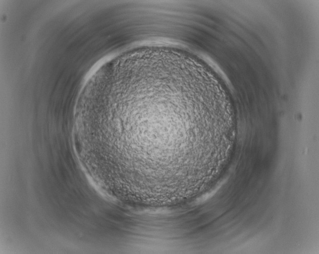 X0000083070845200702232045