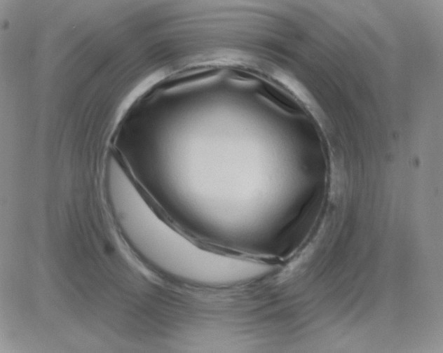 X0000083070850200702232045