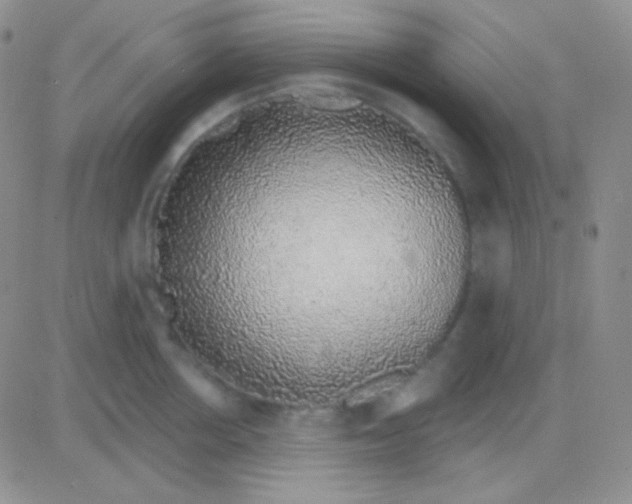 X0000083070858200702232045