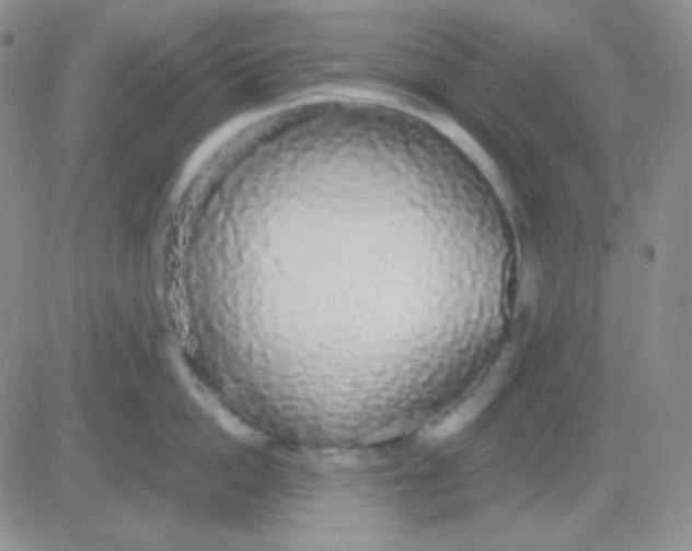 X0000083070862200702232045