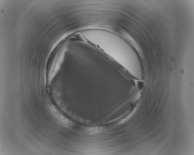 X0000083070892200702232044