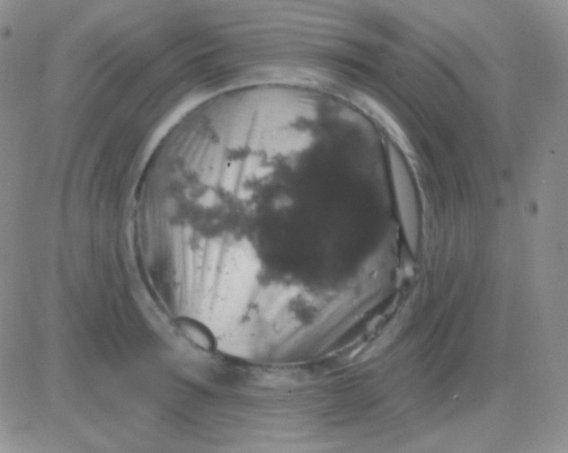 X0000083070899200702232044