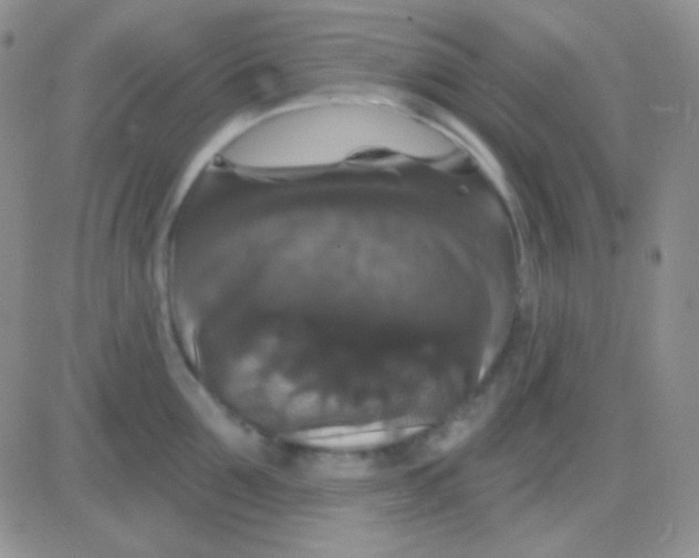 X0000083070907200702232043