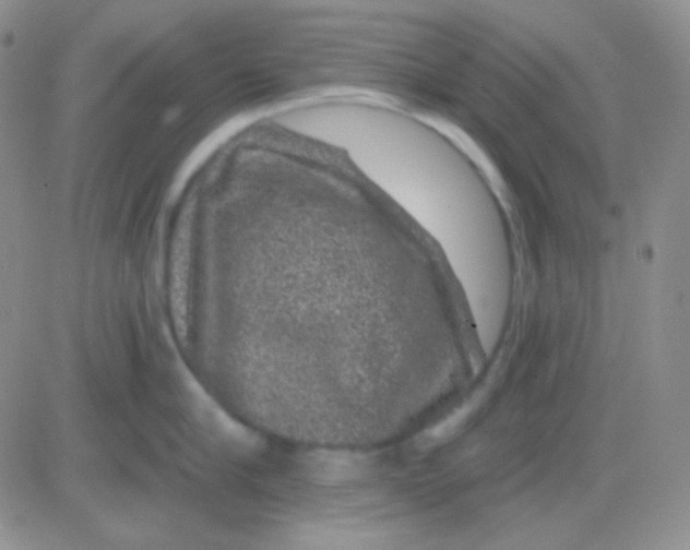 X0000083070910200702232043