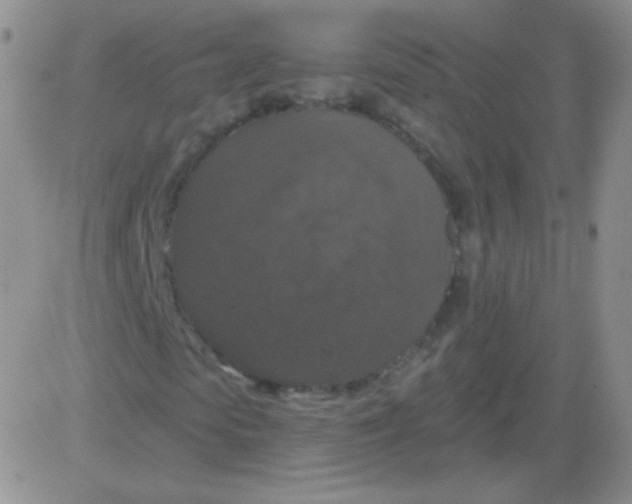 X0000083070913200702232043