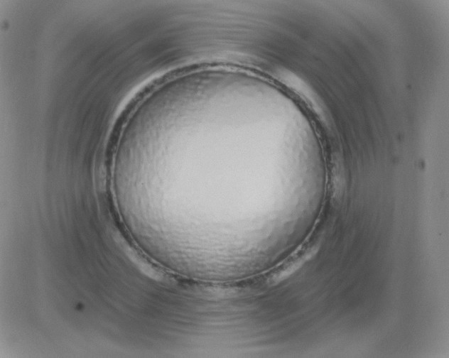 X0000083070924200702232043