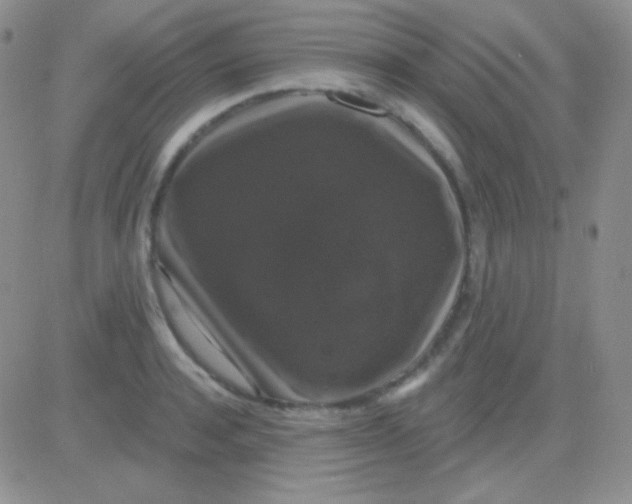 X0000083070944200702232043