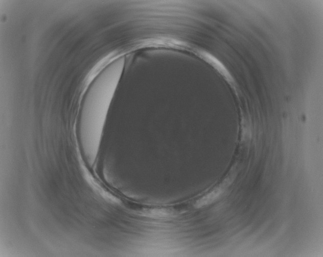 X0000083070946200702232043