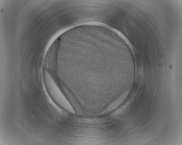 X0000083070951200702232043