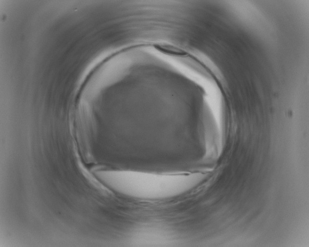 X0000083070958200702232043