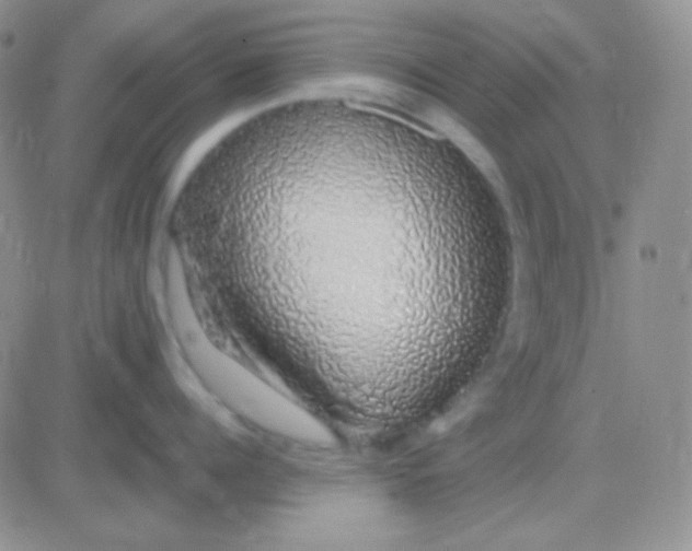 X0000083070960200702232043