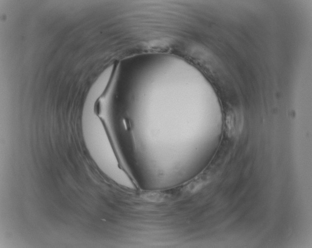 X0000083070963200702232043