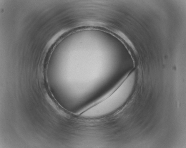 X0000083070972200702232042
